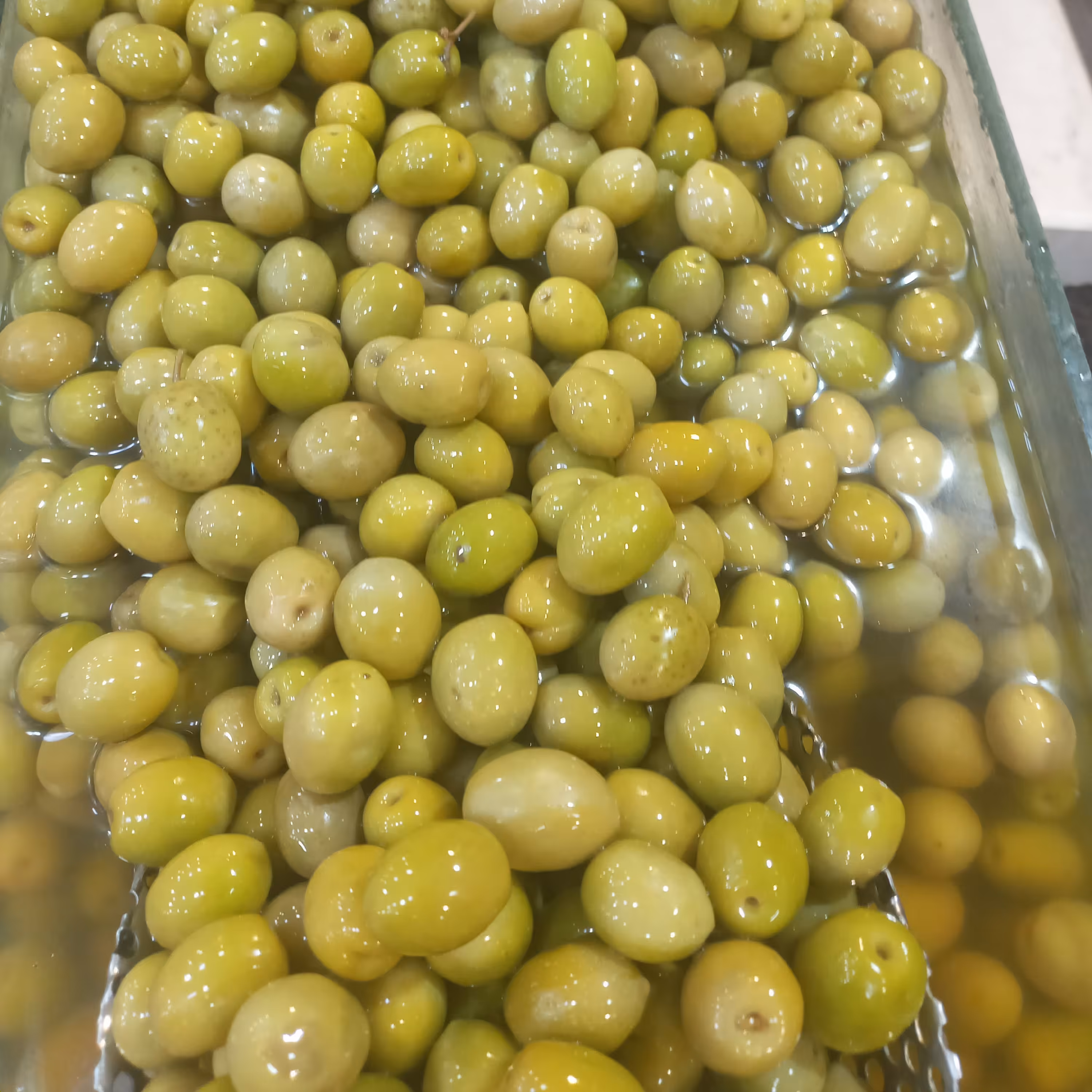 زیتون کنسروی ویژه  برداشت شده از باغات رودبار  در بسته بندی های یک کیلویی