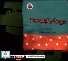 قیمت و خرید کتاب پارچه ای خانواده ی من عروسکم کجاست | ایده بوک