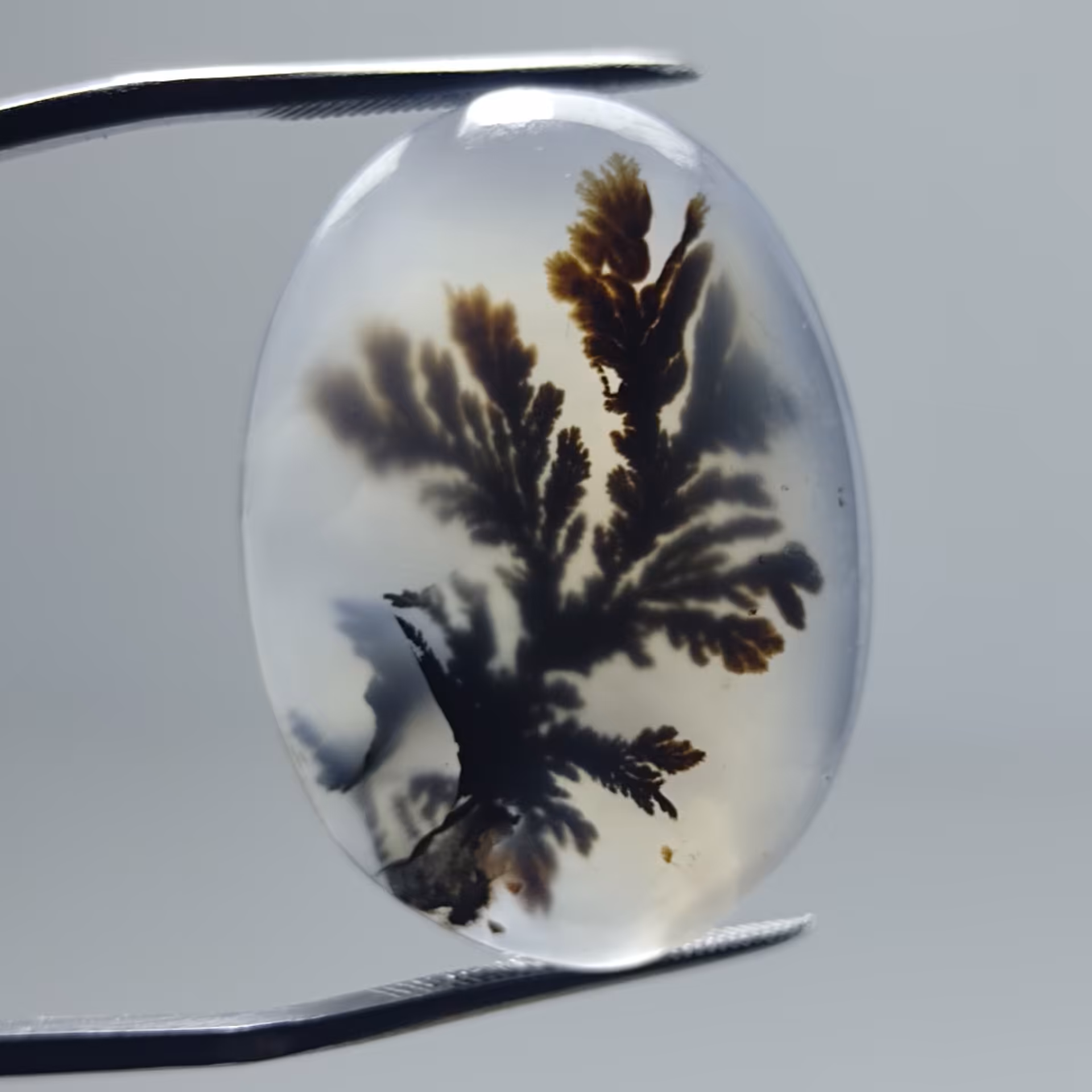 نگین عقیق شجر زمینه سفید گل سوزنی