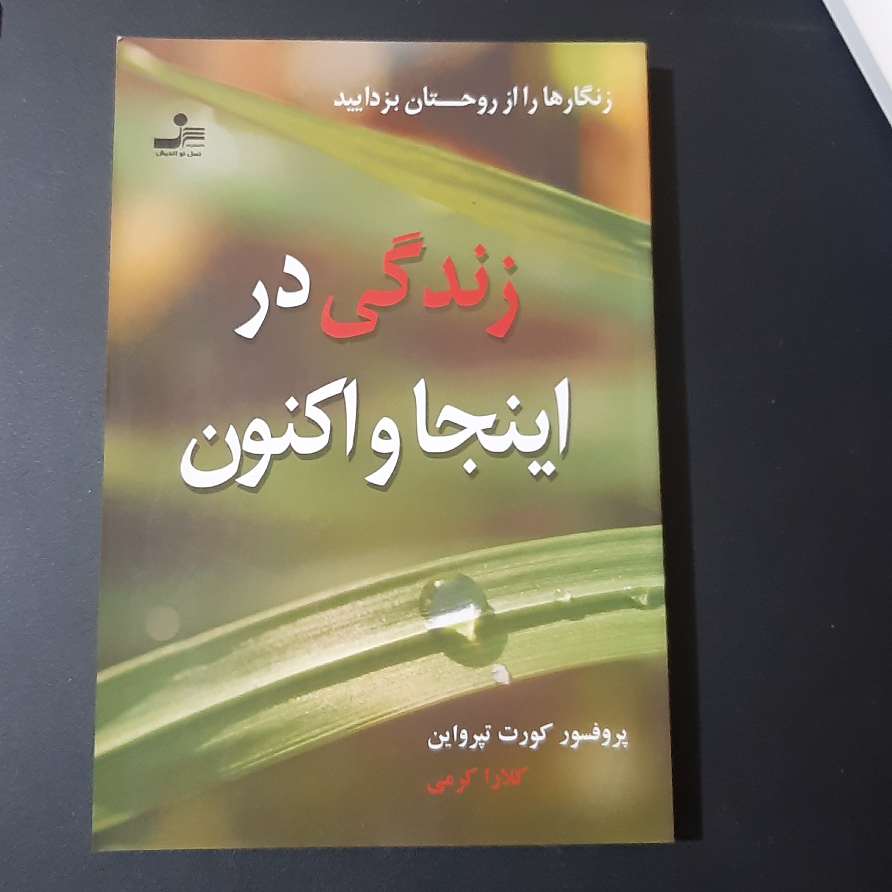 کتاب زندگی در اینجا و اکنون