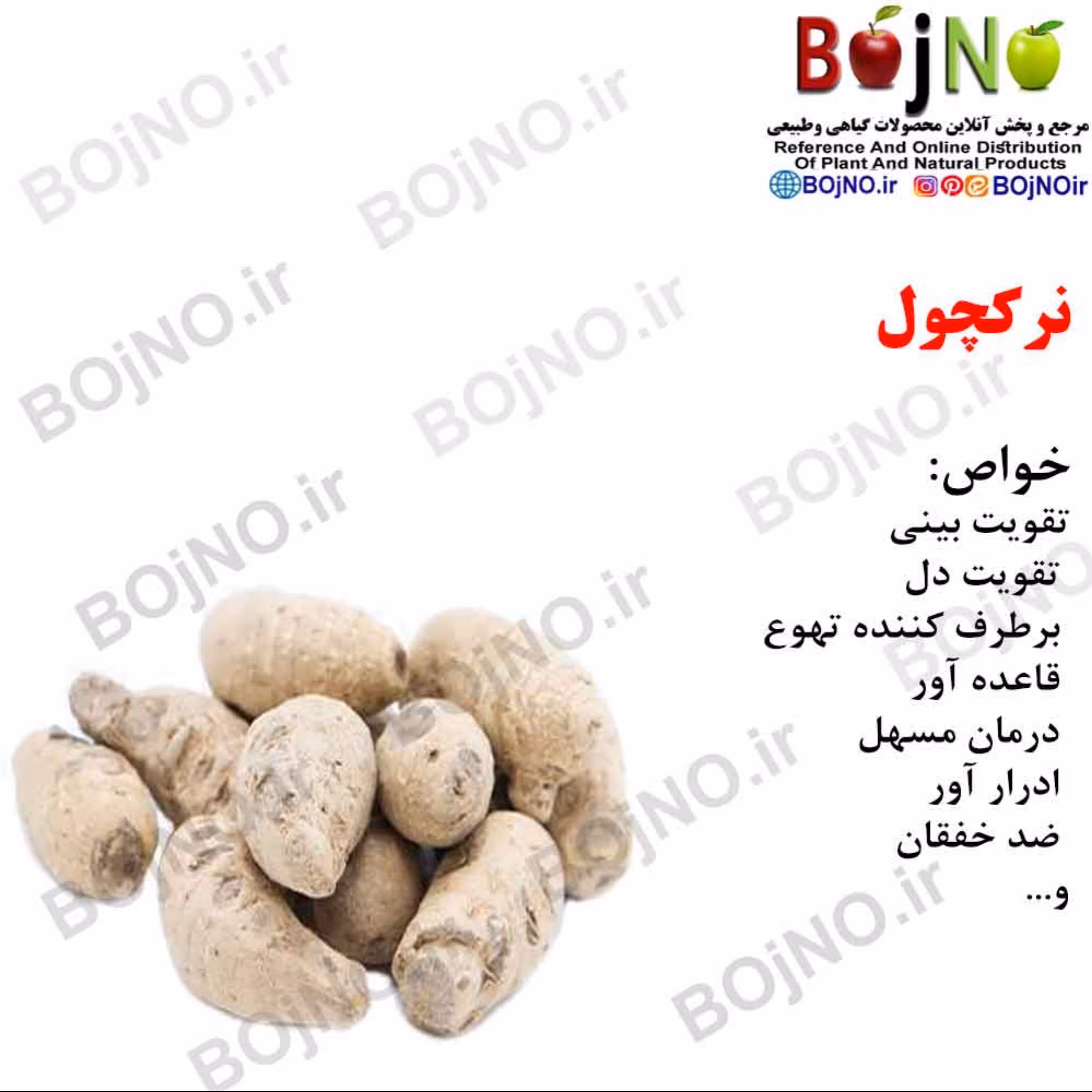 نرگچور(بسته 50گرمی)