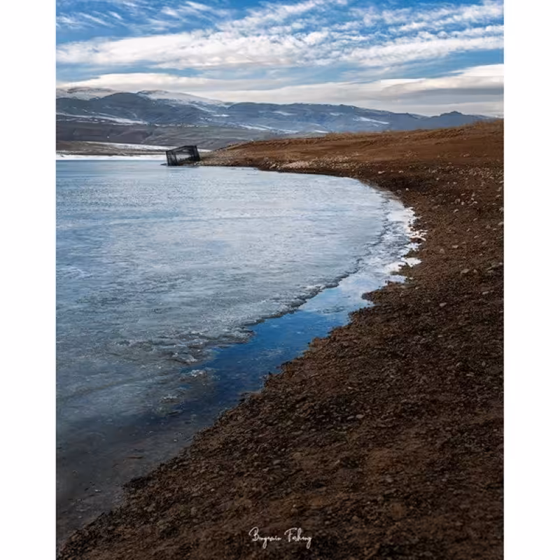 تابلو شاسی کد benpics-0096 (ابعاد 60x90 - شاسی 8 میل-کاغذ سیلک-اصالت تصویر)