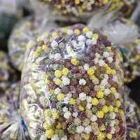 نقل گیاهی یک کیلوی