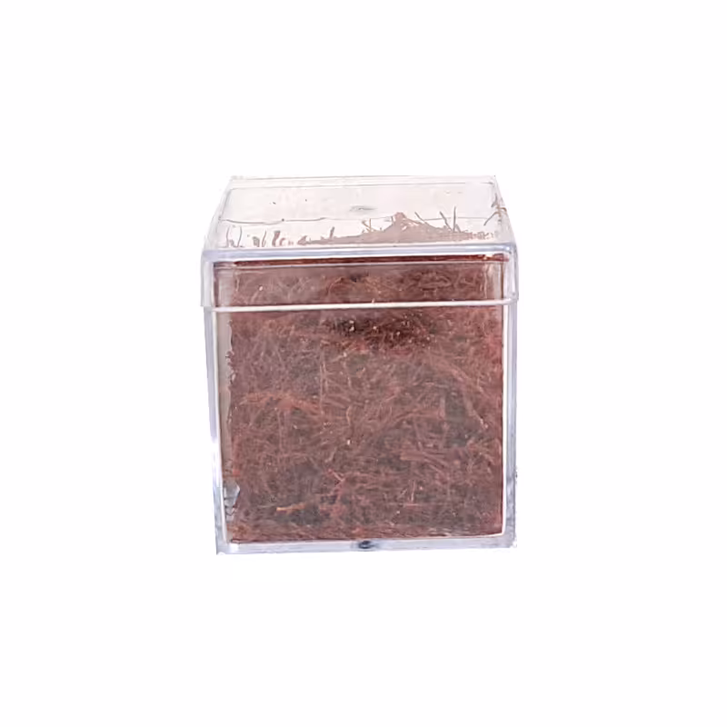 زعفران - 13گرم