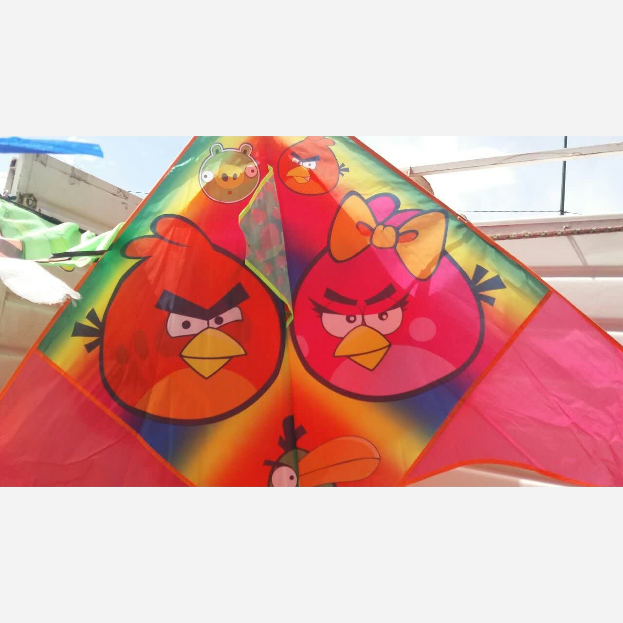 کایت پرنسسی