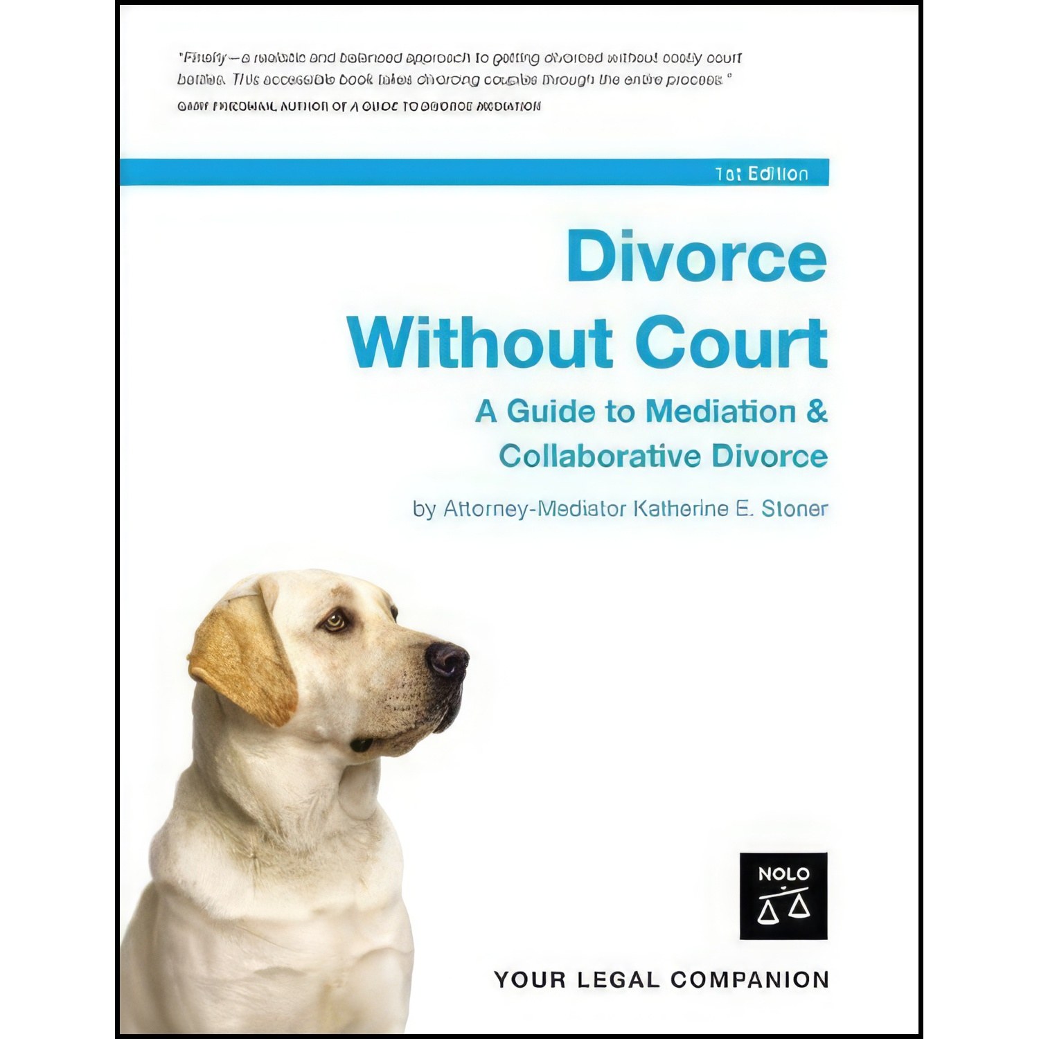کتاب زبان اصلی Divorce Without Court اثر جمعی از نویسندگان