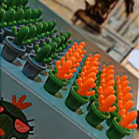 نوک اتود کاکتوسی