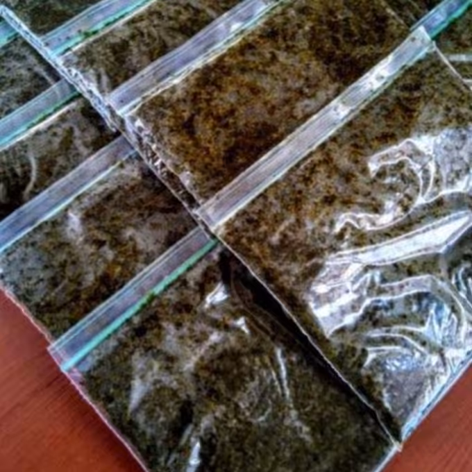 سبزی قورمه سرخ شده محلی شمال خونگی و ارگانیک کاملا بهداشتی بسته ی نیم کیلویی ارسال به شهرستان با اتوبوس یا یخچال یونولیت