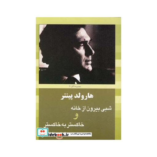 کتاب هارولد پینتر شبی بیرون از خانه
