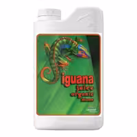 کود جویس بلوم ایگوانا ادونس