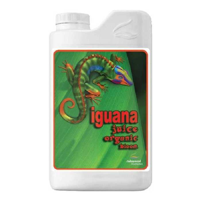 کود جویس بلوم ایگوانا ادونس