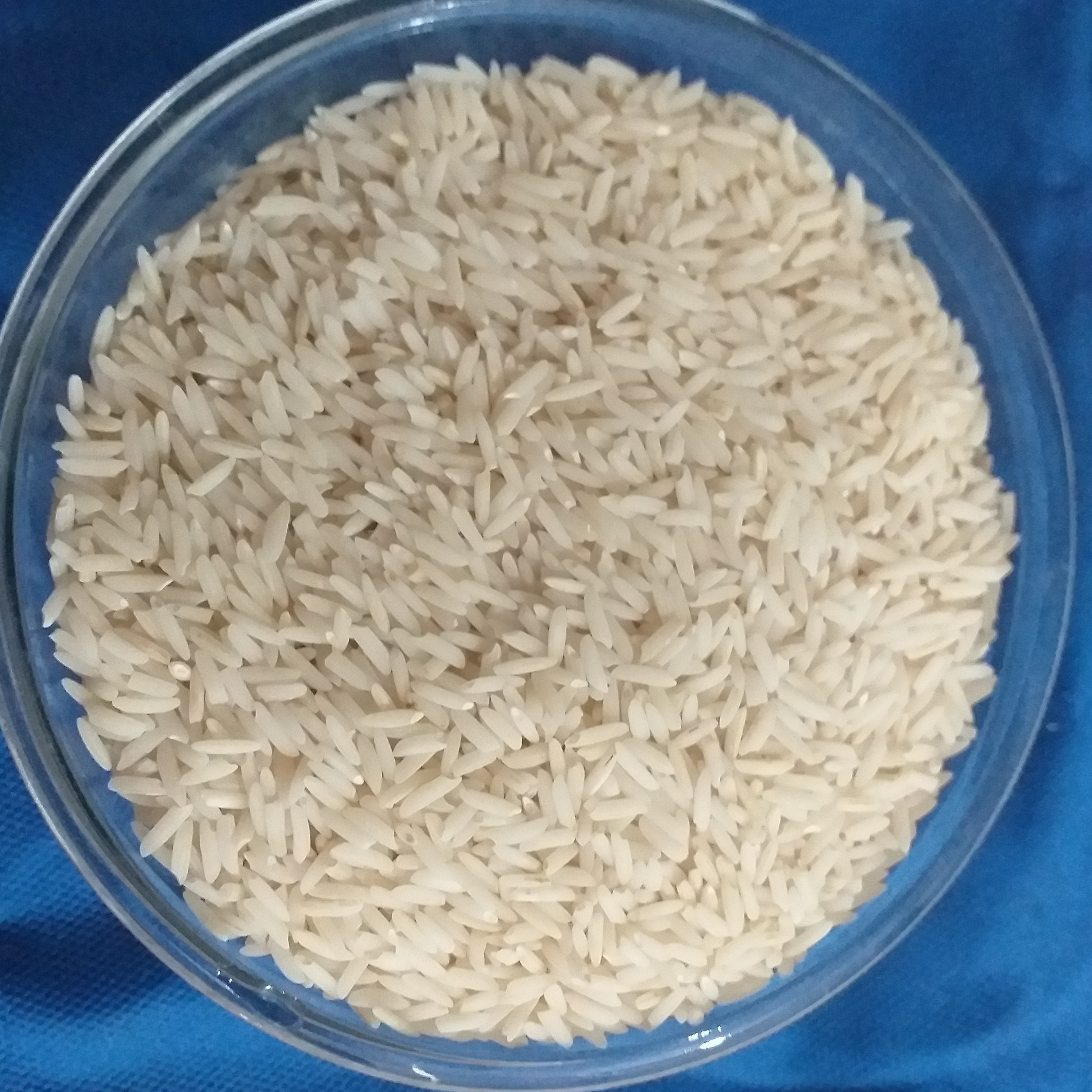 برنج هاشمی استانه اشرفیه