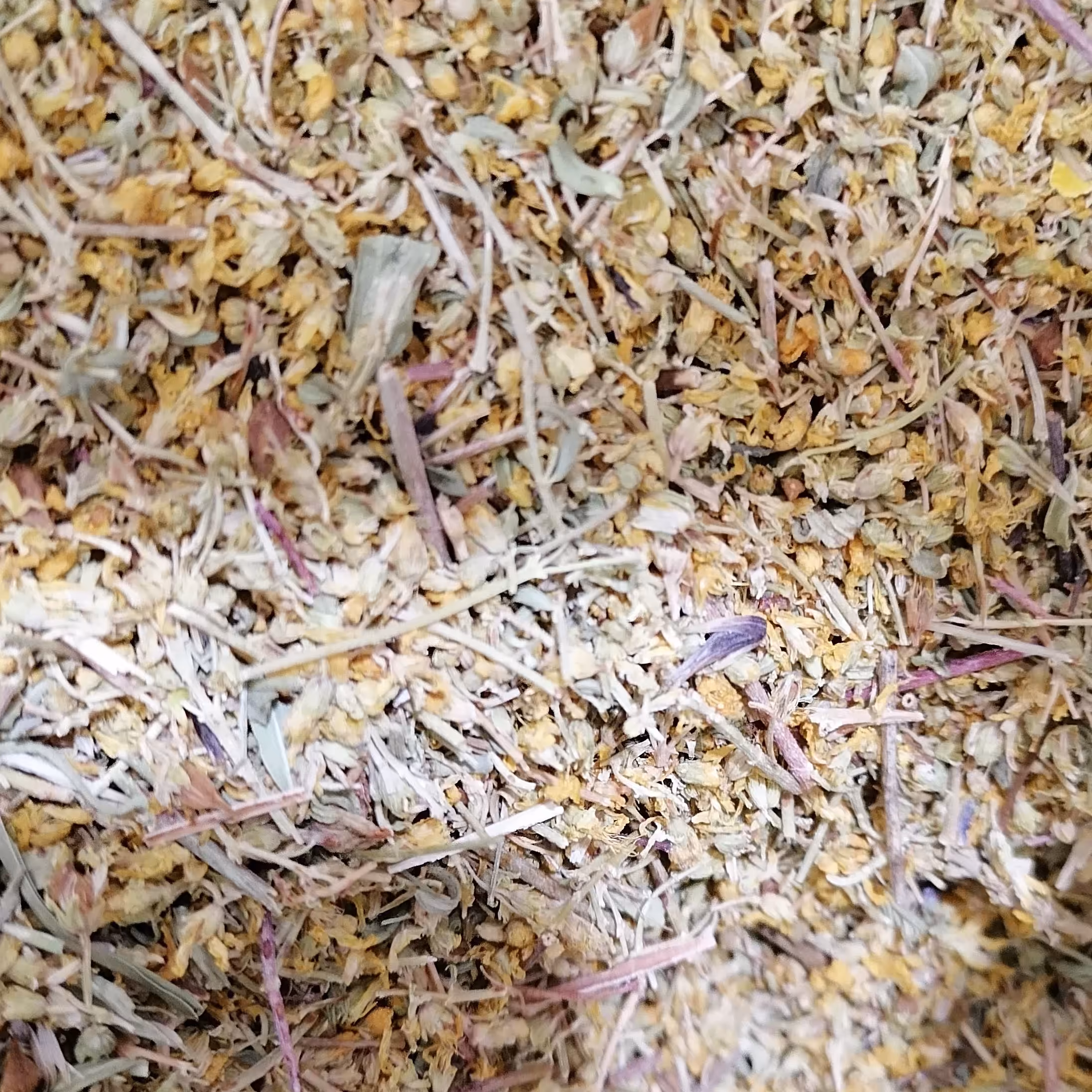 گل راعی یا هوفاریقون(برگ گیاه تشنه داری)