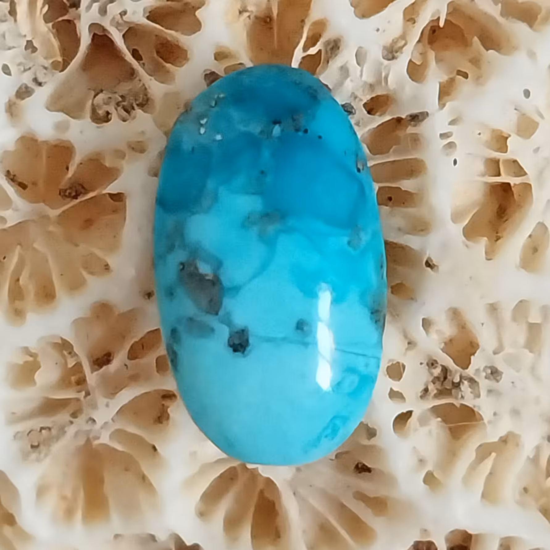 نگین فیروزه کرمان تمام مغز 