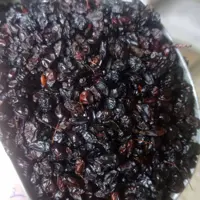 زرشک کوهی (زرشک آبگیری ) 1 کیلویی