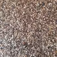 کنجد بوداده اعلا پاک شده