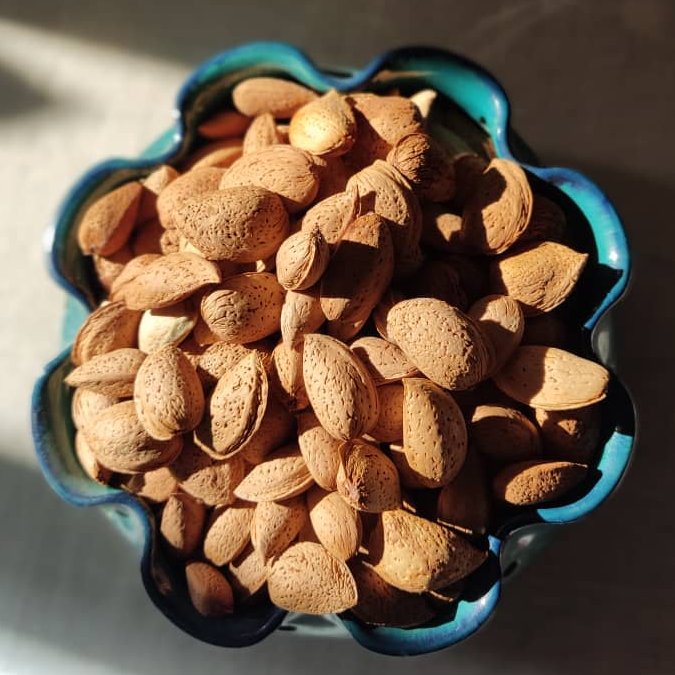 بادام سنگی عالی برداشت امسال تازه و شیرین (بادام لرستان )
