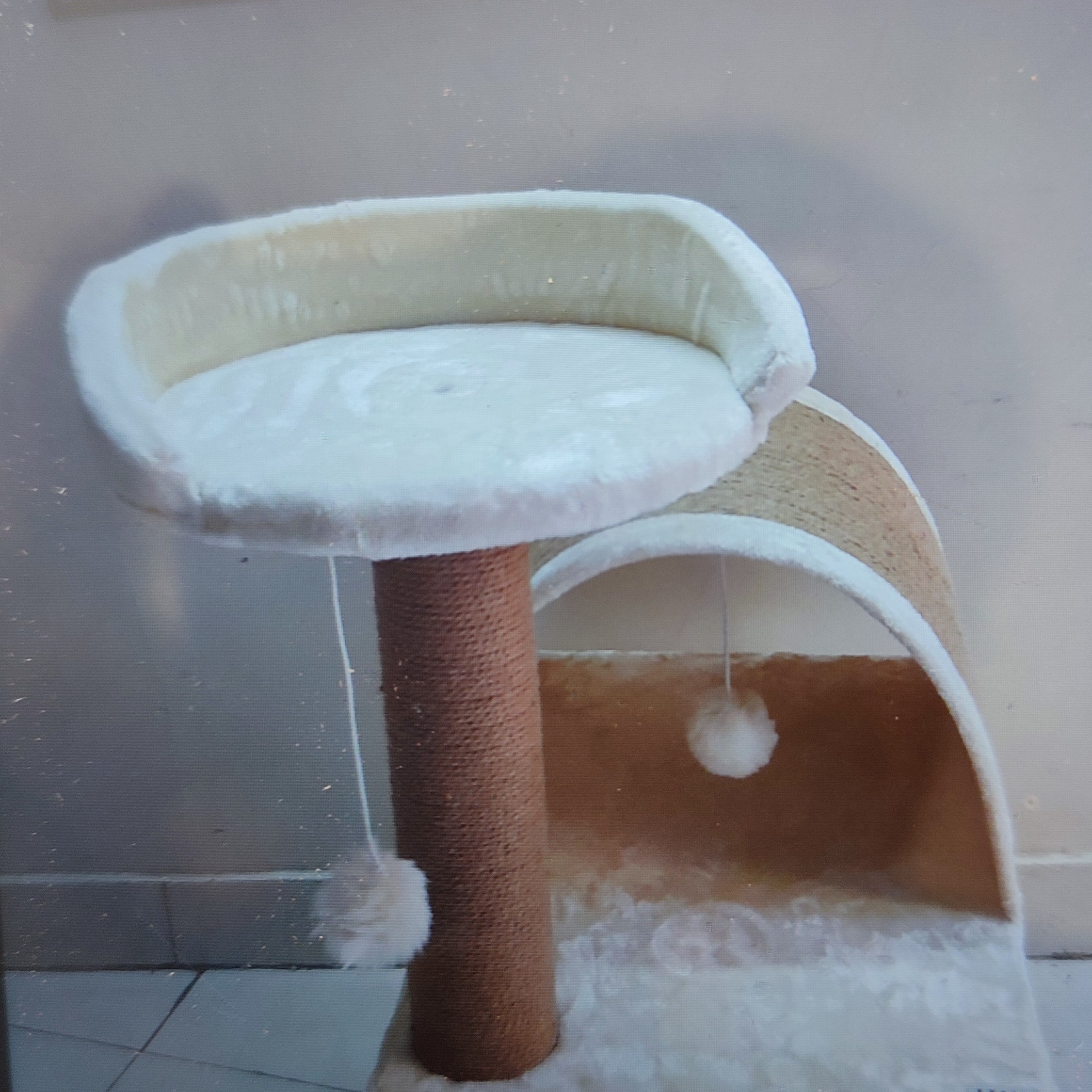 اسکرچر گربه مدل پسته