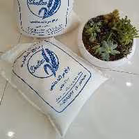 سرلاشه هاشمی5kg