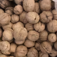 گردو درجه یک ممتاز پر چرب ومرغوب  طبیعی