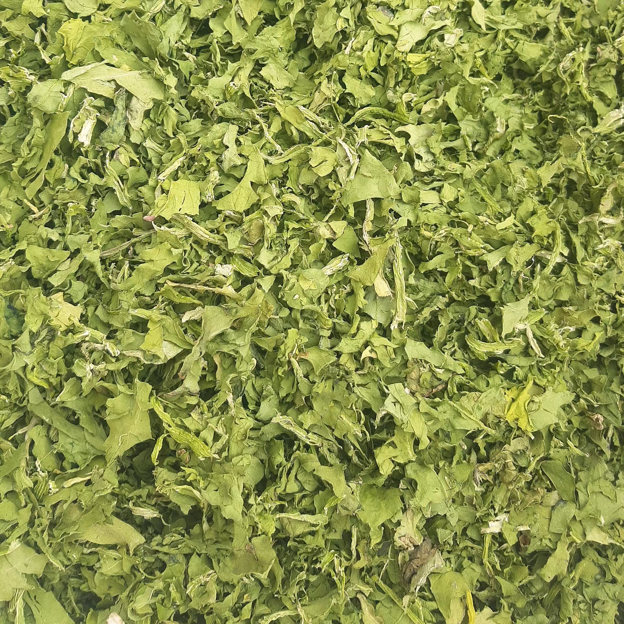 اسفناج خشک 10 کیلویی