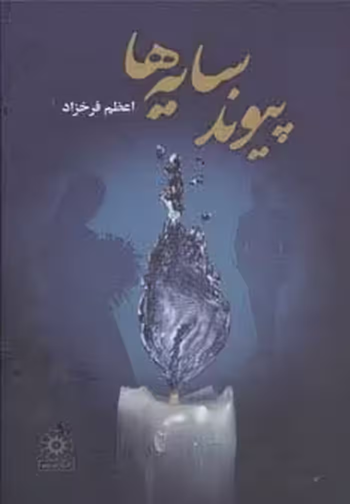 پیوند سایه ها - ناشربوک | خرید آنلاین کتاب