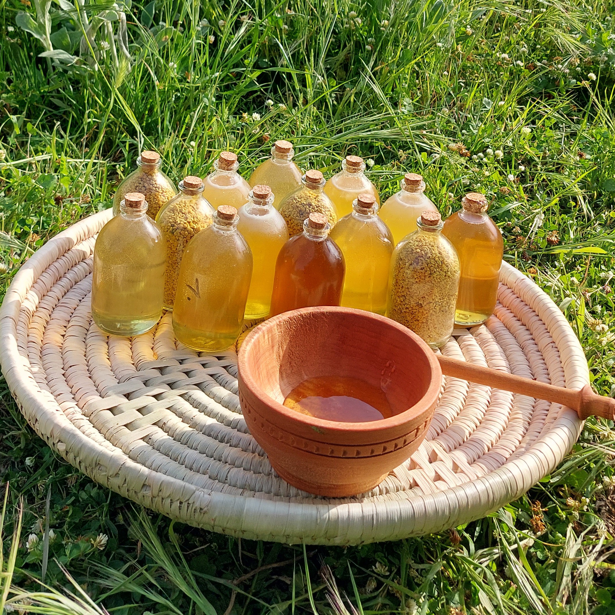 پک عسل ،عصاره بره موم، شمع با موم و گرده گل 