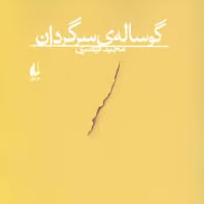 کتاب گوساله ی سرگردان - مجید قیصری