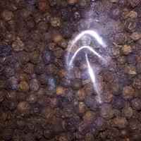 فلفل سیاه درشت