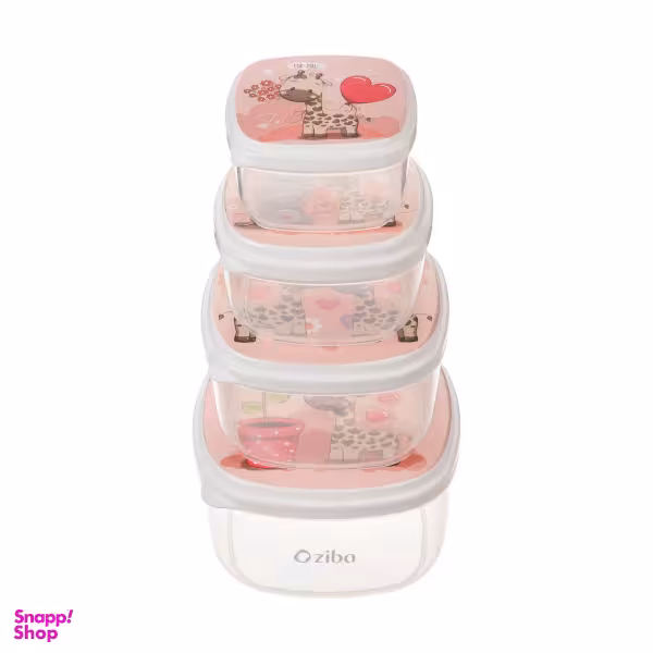 ظرف نگهدارنده زیبا کد 004 مجموعه 4 عددی