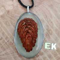 آویز اپوکسی کاج مدل قاب استیل طرح کاج برند E K کد 1204