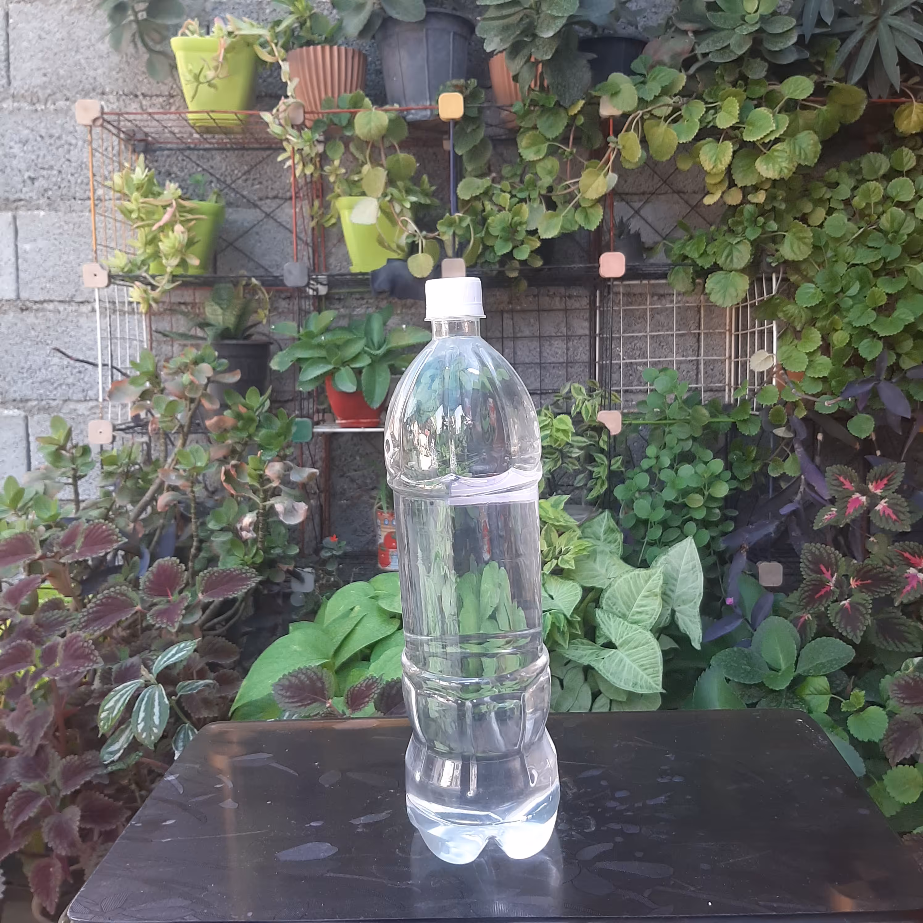 معجون بید اعلا یک و نیم لیتری