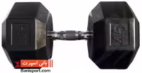 دمبل 8 ضلعی پیشگام 45kg