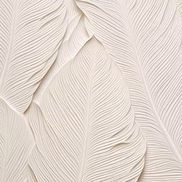 بکدراپ چاپی کد sd-w12