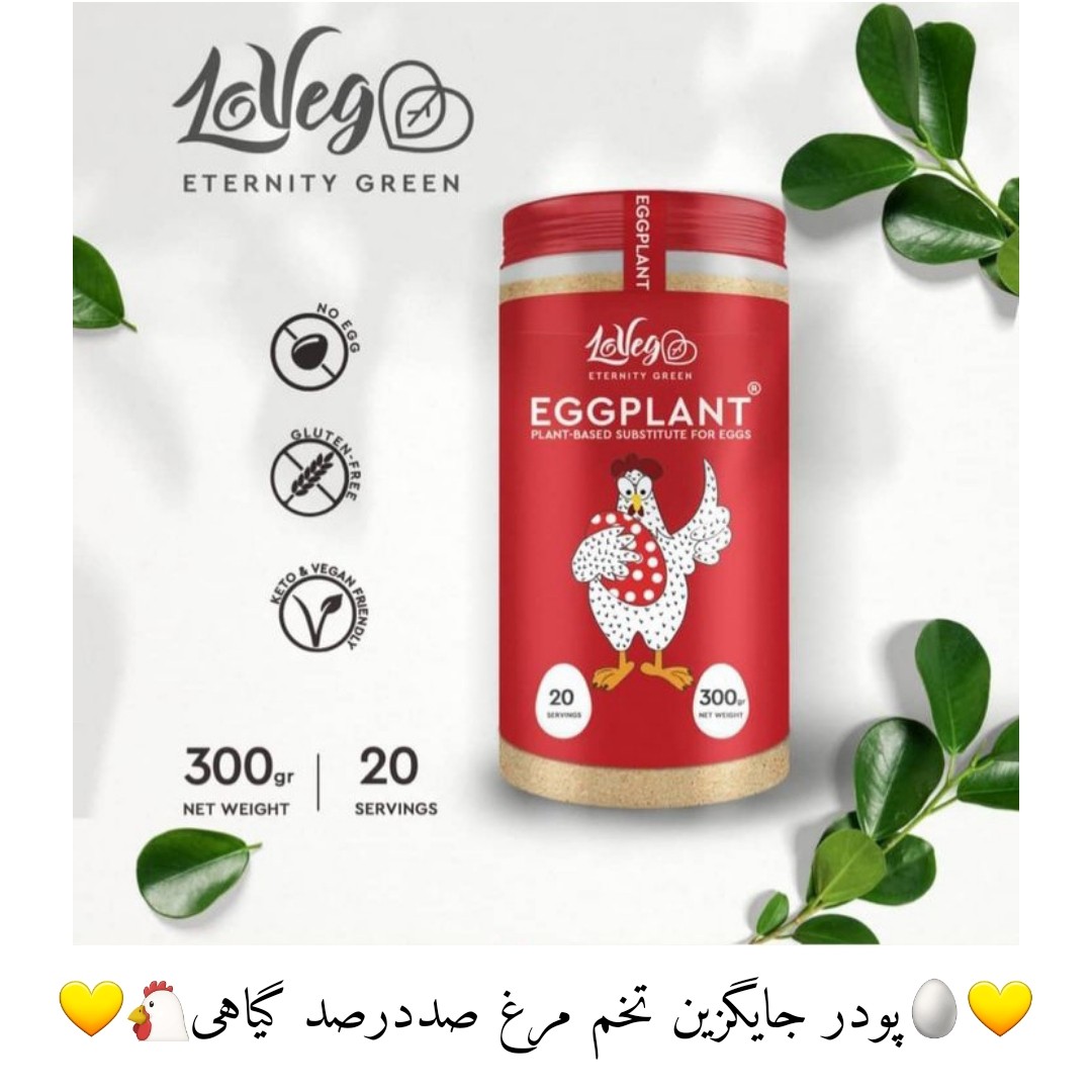 پودر جایگزین تخم مرغ گیاهی لاوگ 300 گرمی