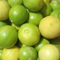 لیموترابداردرجه یک