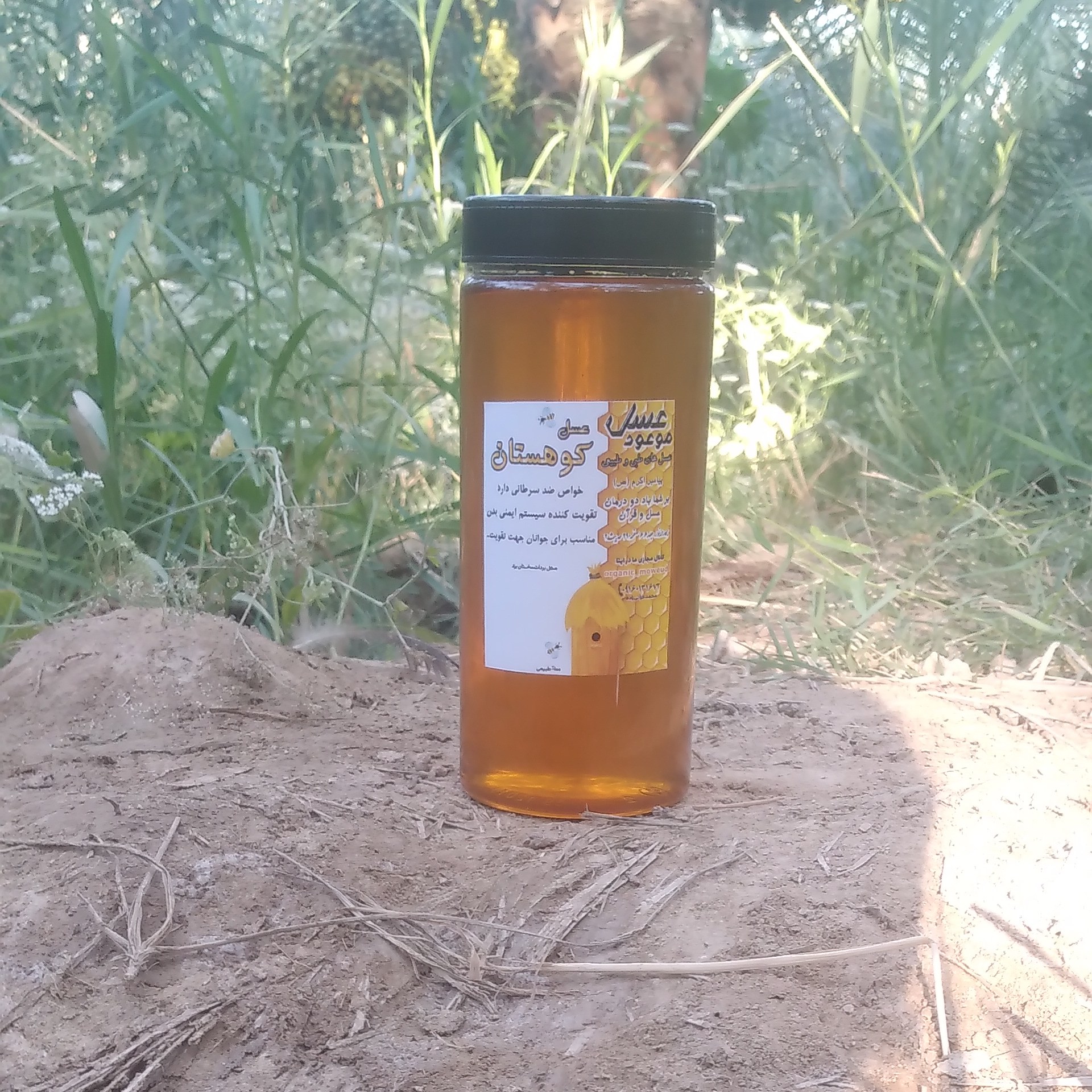 عسل گزانگبین