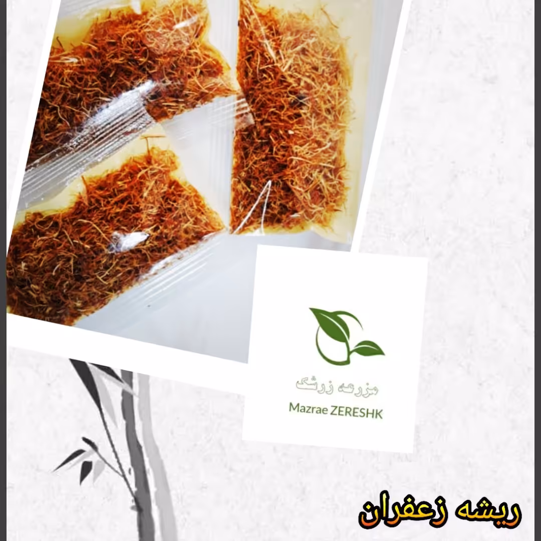 ریشه زعفران اعلا 1 مثقال بیرجند