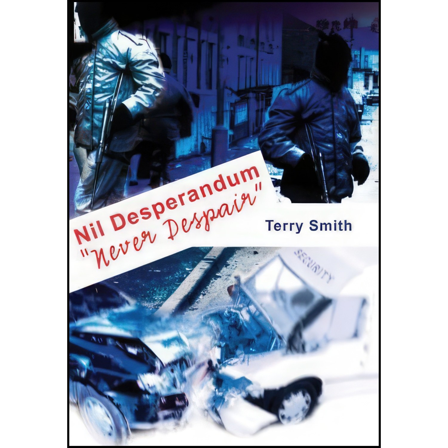 کتاب زبان اصلی Nil Desperandum اثر Terry Smith