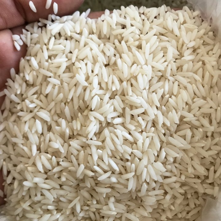 برنج محلی فریدونکنار درجه یک (کیسه ده کیلویی) با کیفیت و پخت خوب طارم فریدونکنار