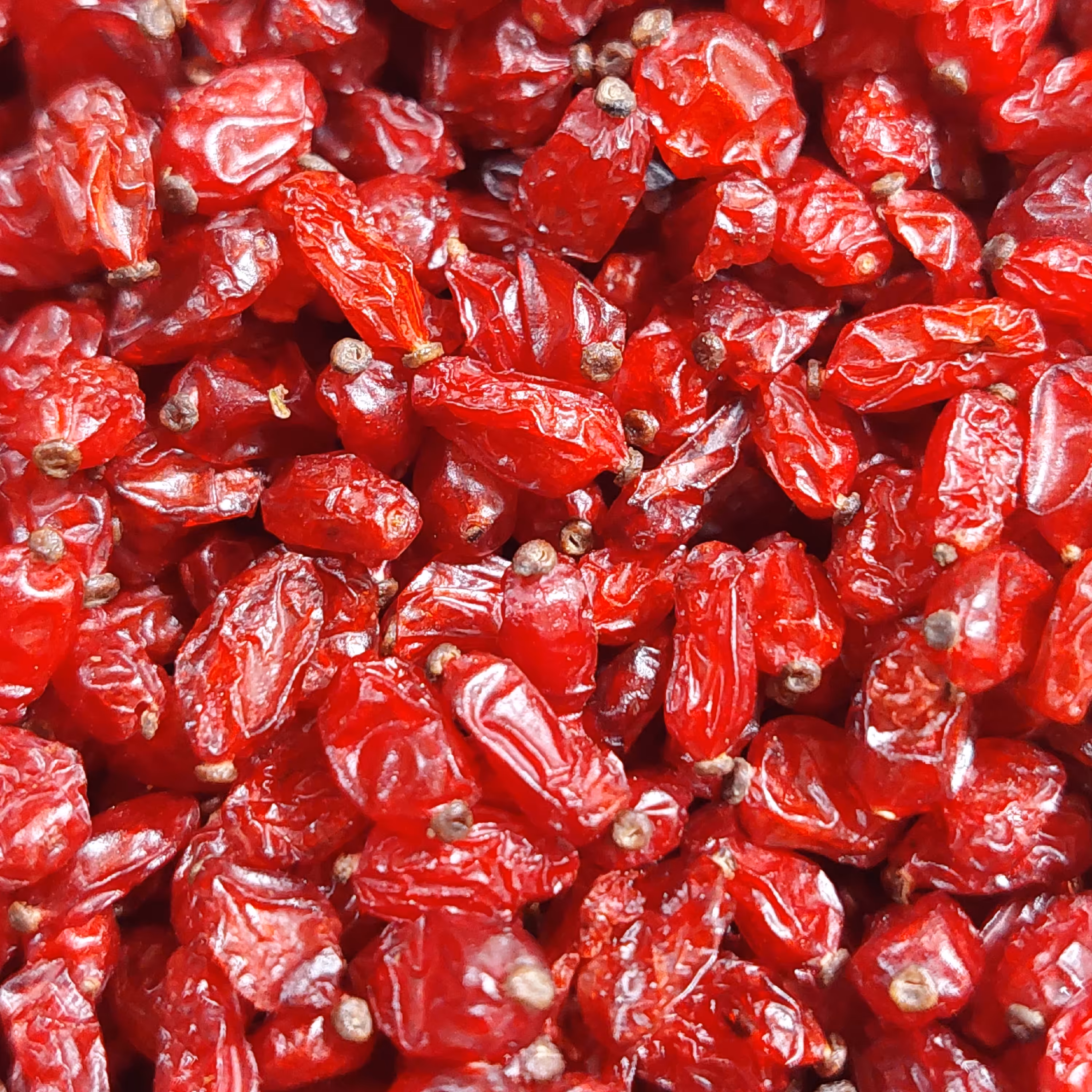 زرشک پفکی اعلا یک کیلویی مشرق زمین امسالی مستقیم از کشاورز