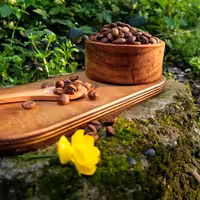 قهوه روبوستا ویتنام  500گرم  ربوستا  کافئین بالا  - قهوه اسپرسو  دان یا آسیاب برای اسپرسوساز - موکاپات فرنچ پرس دمی  و .