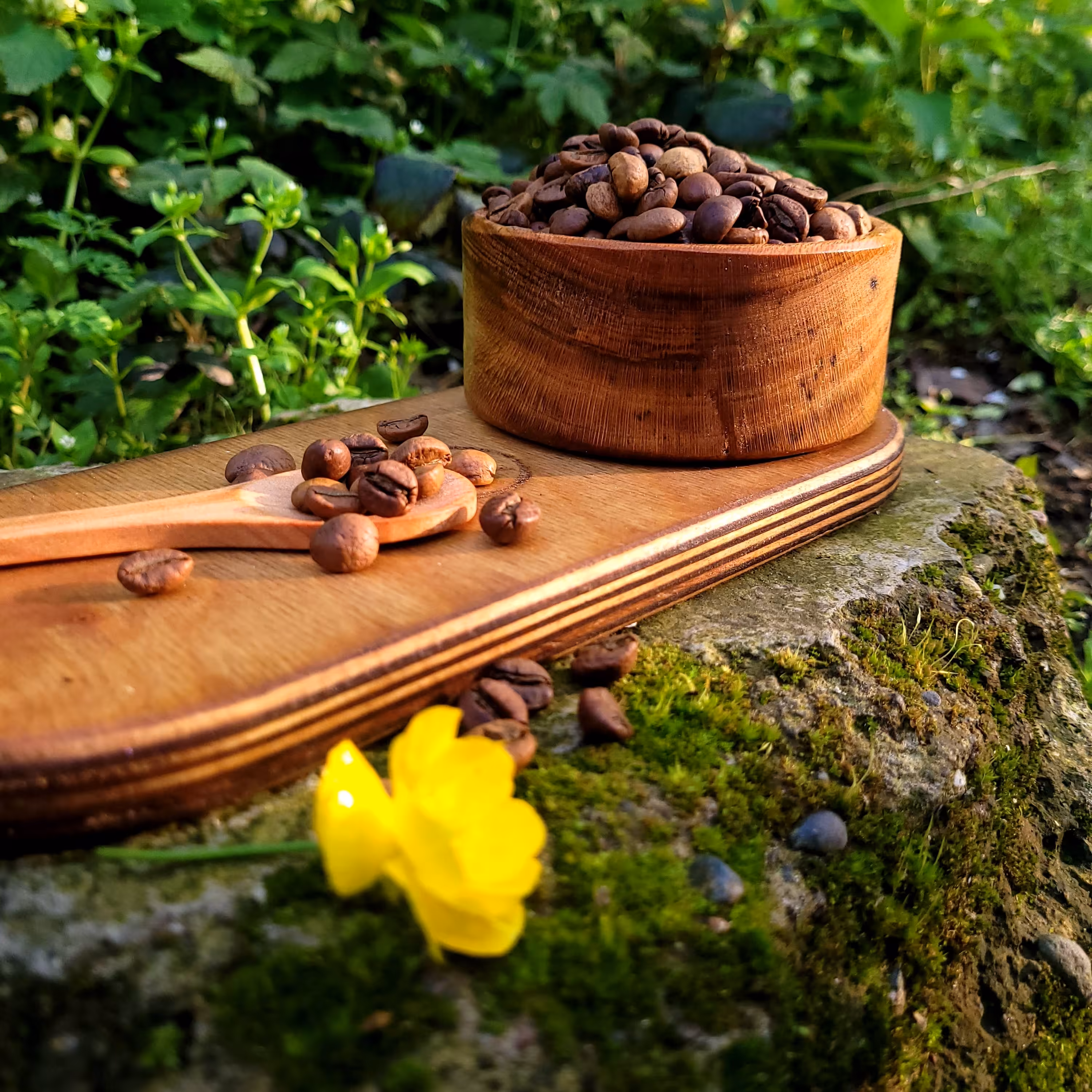 قهوه روبوستا ویتنام  500گرم  ربوستا  کافئین بالا  - قهوه اسپرسو  دان یا آسیاب برای اسپرسوساز - موکاپات فرنچ پرس دمی  و .