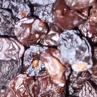 مویزدانه درشت هریک کیلوگرم1000گرمی