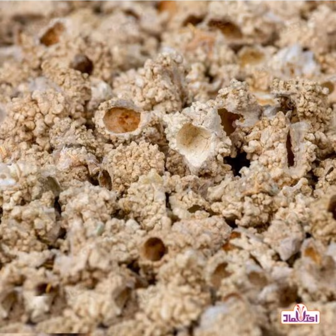 شکر تیغال 50 گرمی اعتماد ( شکرتیغال )(خارشکر )