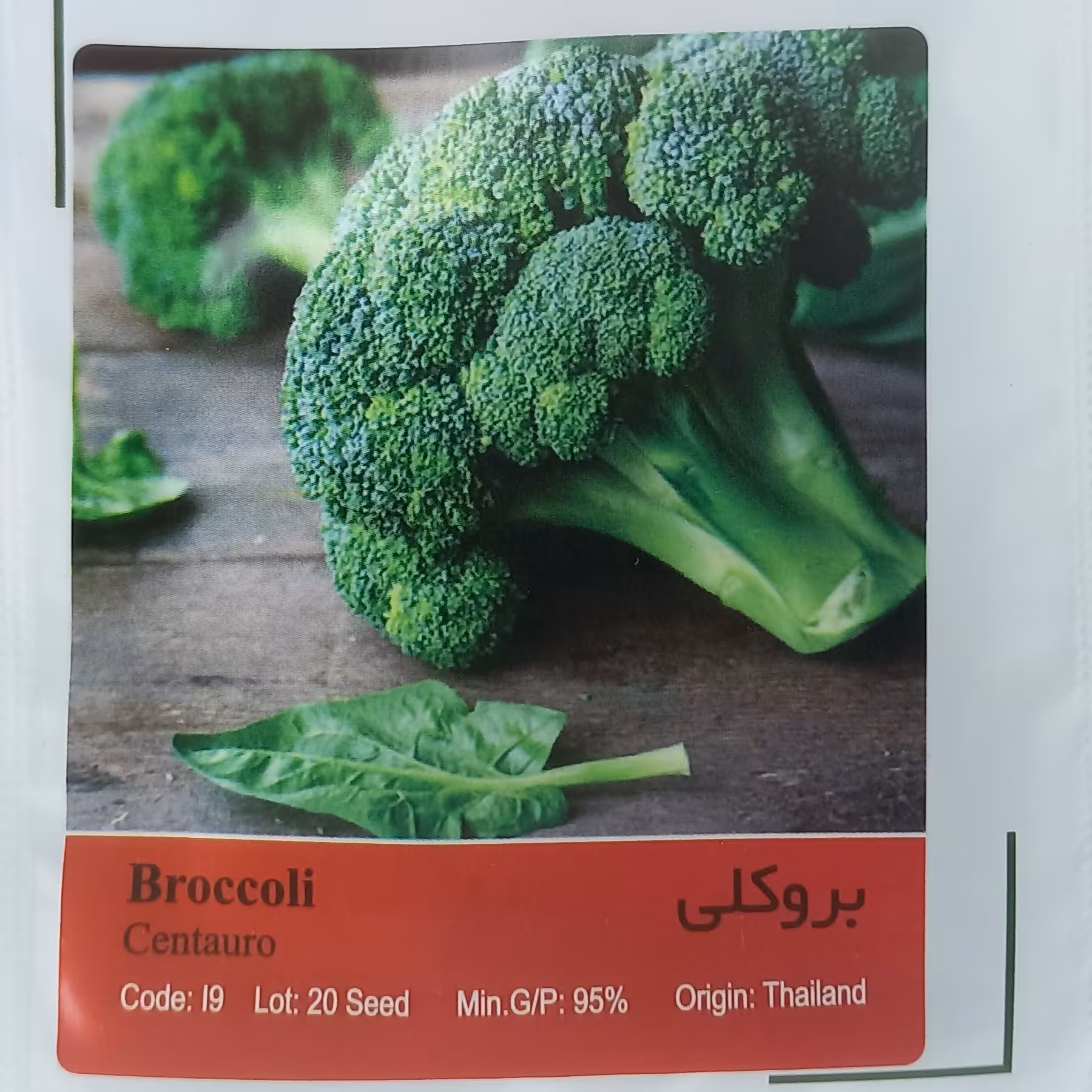 بذر کلم بروکلی
