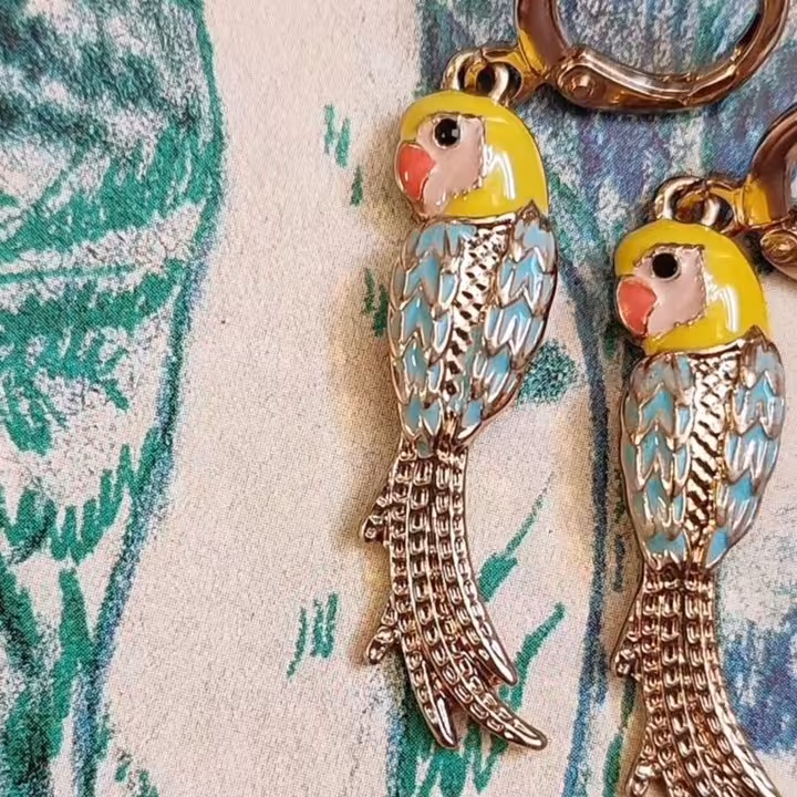 پک دو عدد ایرکاف یک عدد گلگوش و دو عدد گوشواره اویز طوطی رنگی کار خاص گوشواره طوطی