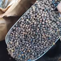 فلفل سیاه قلم درشت و تمیز اعلا یک کیلویی