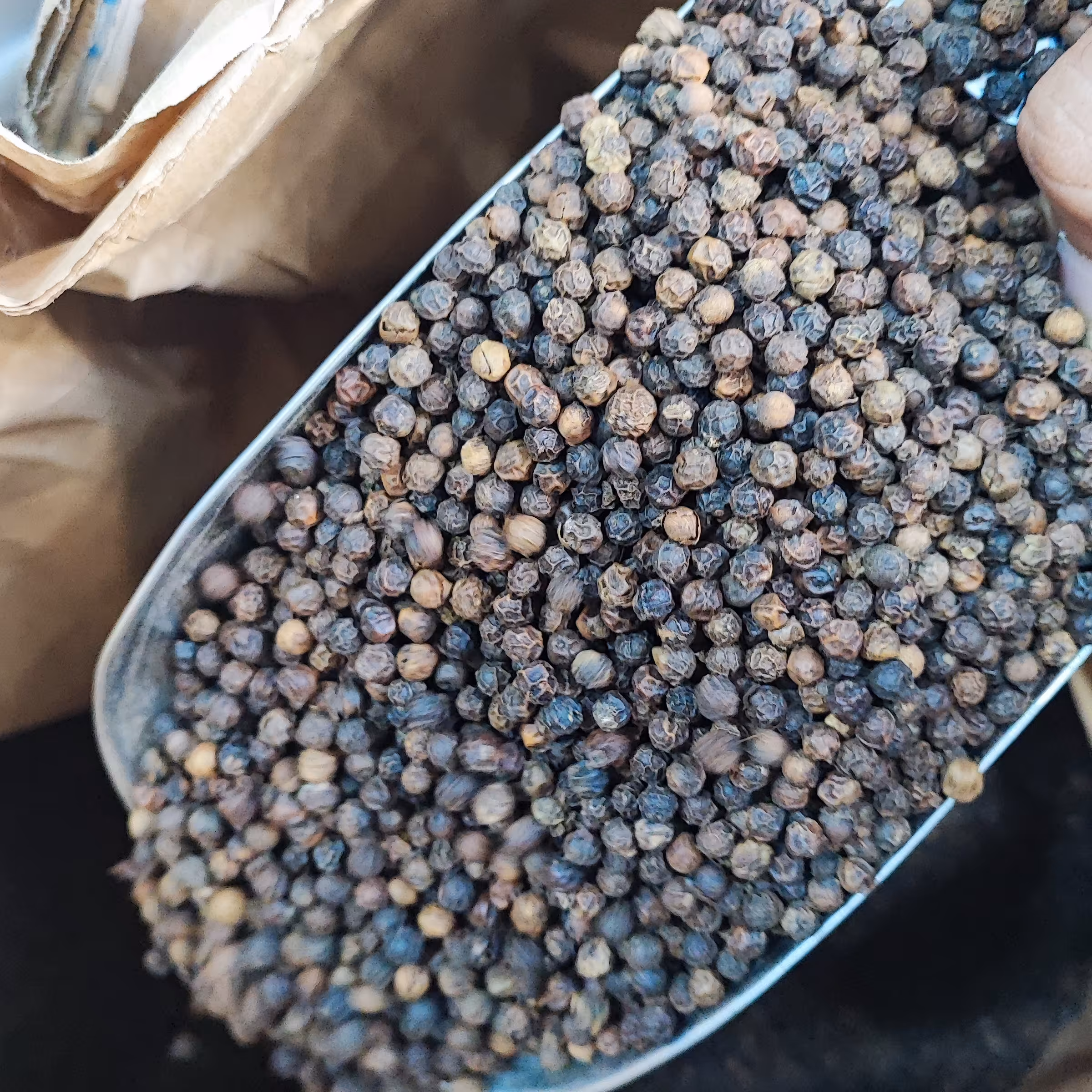 فلفل سیاه قلم درشت و تمیز اعلا یک کیلویی