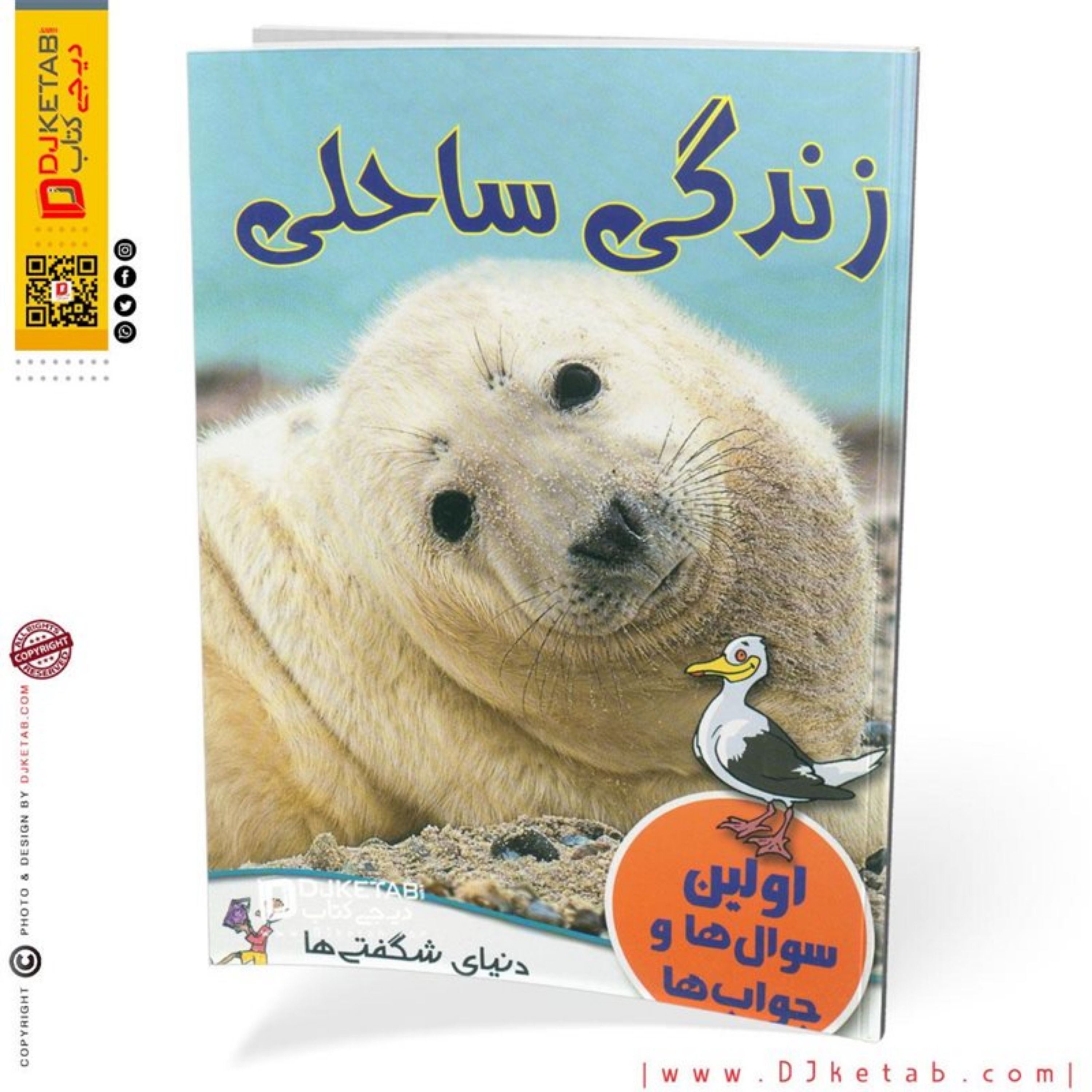 کتاب زندگی ساحلی